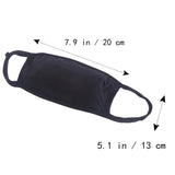 2pcs Dual Layer Mouth Mask