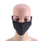 2pcs Dual Layer Mouth Mask