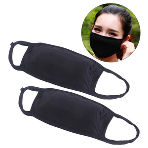 2pcs Dual Layer Mouth Mask