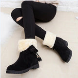 Winter Ankle Boots